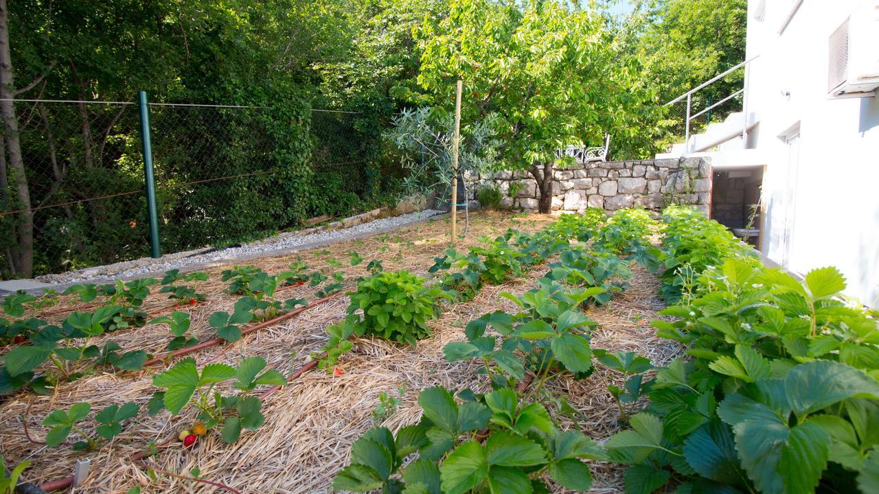 Organic Gardens Villa Crikvenica Exterior foto